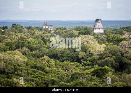 Il modulo visualizza il tempio IV, Tikal, Guatemala Foto Stock