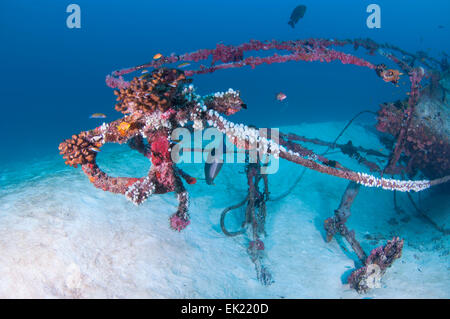 Prua del relitto di una barca in acque poco profonde in South Male Atoll'. Foto Stock