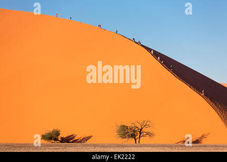 La mattina presto gli alpinisti sulle dune 45 vicino al Sossusvlei, Namib-Naukluft National Park, Namibia Foto Stock