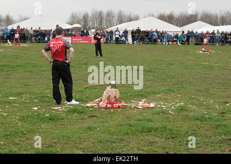 Thame, Oxon, Regno Unito. 5 Aprile, 2015. Paese di Thame Visualizza il giorno 1, Oxfordshire, 5 aprile 2015, immagine dal cane annuale, cavallo e mestieri mostra nei pressi di Oxford. Credito: Stanislav Halcin/Alamy Live News Foto Stock