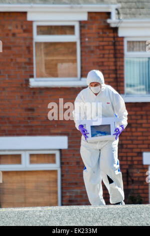 Il 25 agosto 2013, Belfast - Un Forensics officer raccoglie testimonianze in una scatola durante un avviso di protezione nel East Belfast Foto Stock