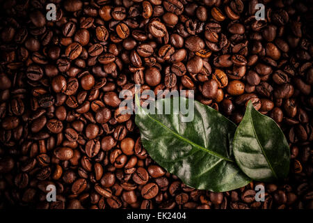 I chicchi di caffè shot da vista aerea con foglie di caffè Foto Stock