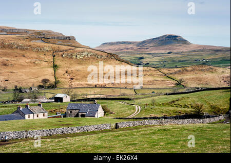 Pen-y-Ghent hill visto all'orizzonte dal Pennine Bridleway al sud, vicino Wharfe, North Yorkshire, Regno Unito Foto Stock