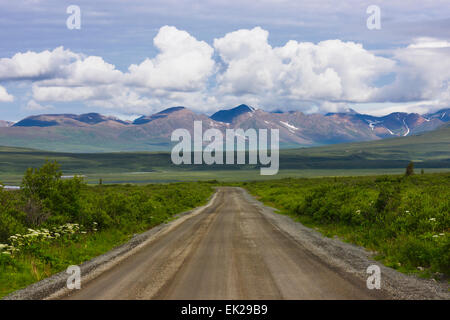 L'Alaska Range e Denali Highway, Alaska, STATI UNITI D'AMERICA Foto Stock