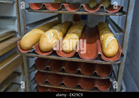 Baguette righe di pani in rack in una panetteria. Foto Stock