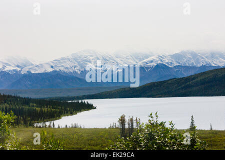 Monte McKinley con meraviglia Lake, il Parco Nazionale di Denali, Alaska, STATI UNITI D'AMERICA Foto Stock