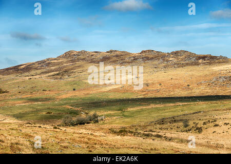 Brown Willy su Bodmin Moor e il punto più alto in Cornovaglia, noto anche in Cornish come la collina di rondini Foto Stock
