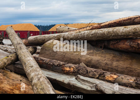 Le chiatte che trasportano i trucioli di legno visto dietro una pila di registri driftwood sulle rive del fiume Fraser in Vancouver Foto Stock