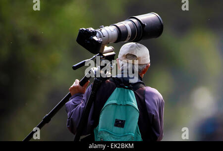 Wildlife Photographer con la loro attrezzatura fotografica Foto Stock