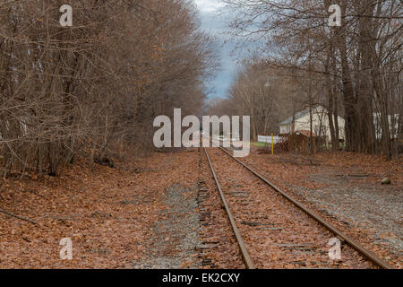 Maine i binari della ferrovia Foto Stock