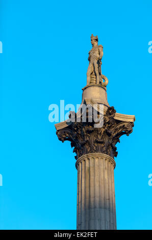 Nelson la colonna, Trafalgar Square, Londra Foto Stock