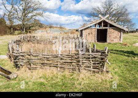 Parte di viking age village replica nella Svezia meridionale in primavera. Piccola fattoria i campi sono recintati con rami di ginepro per Foto Stock