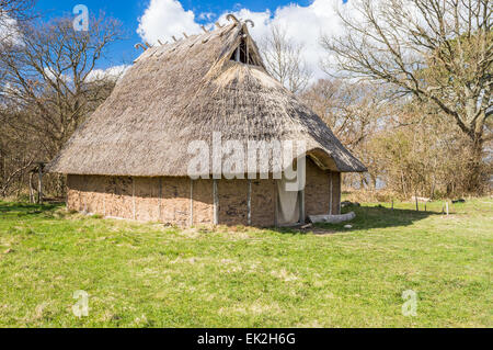 Parte di viking age village replica nella Svezia meridionale in primavera. Casa principale costituito da argilla e reed su pali di legno e carta velina Foto Stock