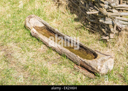 Parte di viking age village replica nella Svezia meridionale in primavera. Un scolpito in legno servono log come mangiare o bere il luogo Foto Stock