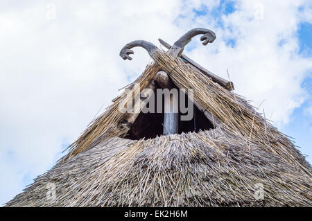 Parte di viking age village replica nella Svezia meridionale in primavera. Dettaglio del tetto è realizzato di reed cannucce con ornamento di mare s Foto Stock