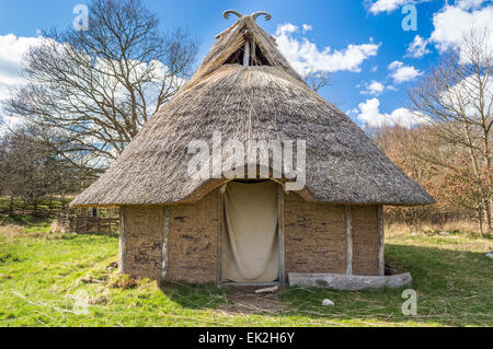 Parte di viking age village replica nella Svezia meridionale in primavera. Casa principale costituito da argilla e reed su pali di legno e carta velina Foto Stock