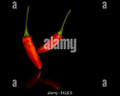 Red Hot Chili Peppers toccare con la riflessione su nero Foto Stock