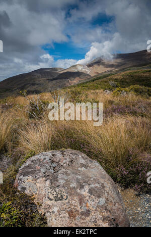 Te Maari cratere, Tongariro Crossing, Isola del nord, Nuova Zelanda. Foto Stock