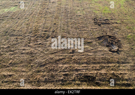 Campo con tracce di trattore visto da sopra Foto Stock