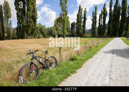 Giant bike in appoggio sul Arrowtown a Queenstown pista ciclabile, South Island, in Nuova Zelanda. Foto Stock