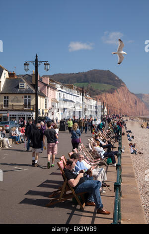 Sidmouth. Devon, Regno Unito. 06 apr, 2015. Con temperature soaring nella metà 60's, i turisti accorsi a trascorrere la Pasqua lunedì sul lungomare a Sidmouth, nel Devon. Credit: Foto centrale/Alamy Live News Foto Stock