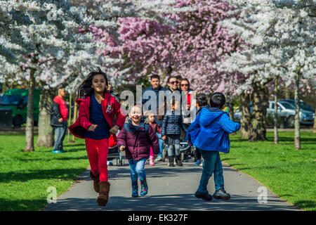 Londra, Regno Unito. 05 apr, 2015. La primavera sbocciano i fiori e il sole attira famiglie, per chi ama fare jogging e cane walkers a Battersea Park, London, Regno Unito 06 Apr 2015. Credito: Guy Bell/Alamy Live News Foto Stock