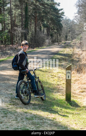 New Forest, Hampshire, Regno Unito. 6 Aprile, 2015. Un bel giorno per una passeggiata o per fare un ciclo attraverso l'incantevole foresta di nuovo su lunedì festivo Credito: Paul Chambers/Alamy Live News Foto Stock
