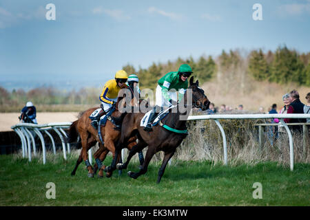 Chilterns, UK. 06 apr, 2015. Vecchio Berkley Hunt Lunedì di Pasqua da punto a punto. Credito: roger askew/Alamy Live News Foto Stock