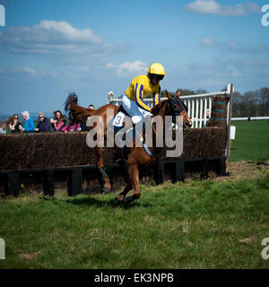 Chilterns, UK. 06 apr, 2015. Vecchio Berkley Hunt Lunedì di Pasqua da punto a punto. Credito: roger askew/Alamy Live News Foto Stock