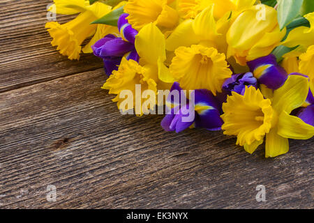 Pasqua narcisi e irise Foto Stock