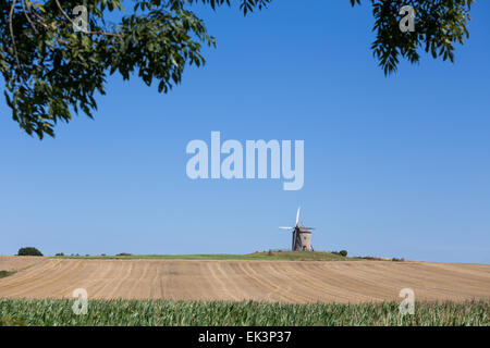 Il mulino a vento, Moulin de Moidrey vicino a Abbazia di Mont Saint Michel, Pontorson, in Normandia, Francia, Europa Foto Stock