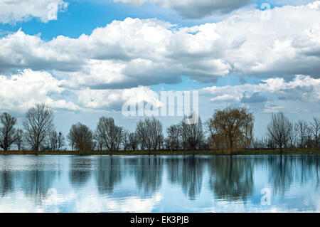 Foresta al di sotto del lago blu cielo nuvoloso Foto Stock