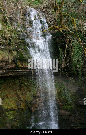 Cascata di Glencar nella Contea di Sligo Irlanda Foto Stock