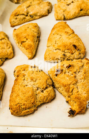 Pane appena sfornato, cannella e uvetta scones su un quadrato bianco piastra Foto Stock