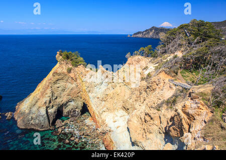 Mt. Fuji vista dal Capo Koganezaki, Izu, Shizuoka, Giappone Foto Stock