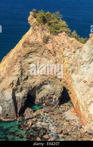 Cape Koganezaki, Penisola di Izu, Shizuoka, Giappone Foto Stock