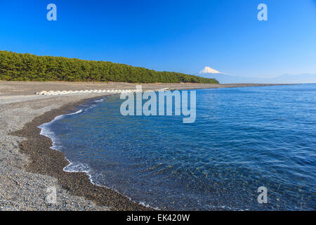 Mt. Fuji vista da Mihonomatsubara, Izu, Shizuoka, Giappone Foto Stock