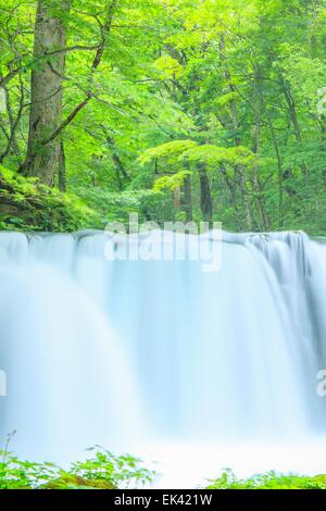 Flusso Oirase, Cyoushiootaki, Aomori, Giappone Foto Stock