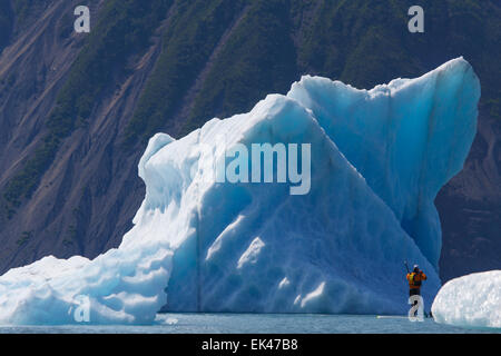 Stand Up Paddle boarder nel recare laguna glaciale, il Parco nazionale di Kenai Fjords, vicino a Seward, Alaska. Foto Stock