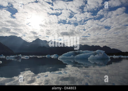 Bear laguna glaciale, il Parco nazionale di Kenai Fjords, vicino a Seward, Alaska. Foto Stock