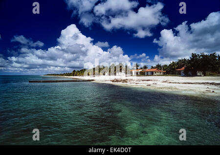 CUBA, Maria La Gorda beach, palme di cocco - Scansione su pellicola Foto Stock