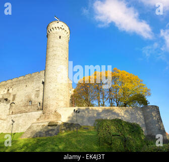 Torre di Tallinn Tall Germann. Estonia Foto Stock