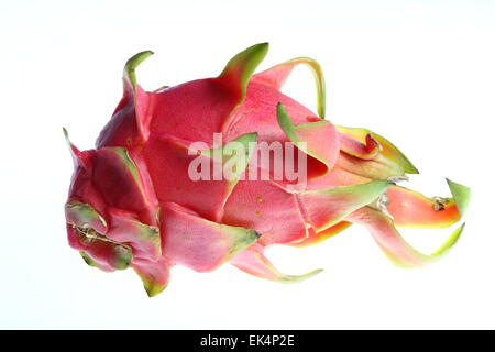 La frutta tropicale, pitahaya frutta, frutta drago, Hylocereus undatus Foto Stock