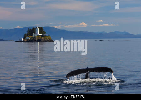 Le megattere e le cinque dita faro, Tongass National Forest, Alaska. Foto Stock