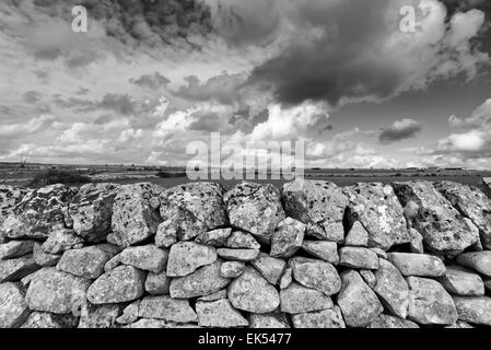 L'Italia, sicilia, campagna, tipico fatto a mano siciliana di muro di pietra Foto Stock