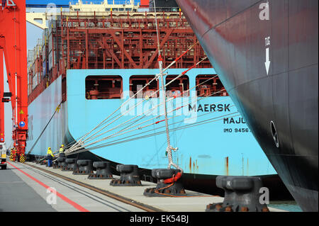 Wilhelmshaven, Germania. 7 Mar, 2015. Il vaso contenitore 'Maersk Eindhoven' è ancorata al molo del JadeWeserPort in Wilhelmshaven, Germania, 7 marzo 2015. Foto: Ingo Wagner/dpa/Alamy Live News Foto Stock