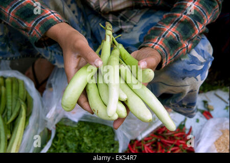 Due mani tenendo le verdure fresche in un mercato ortofrutticolo Yangon Myanmar Foto Stock
