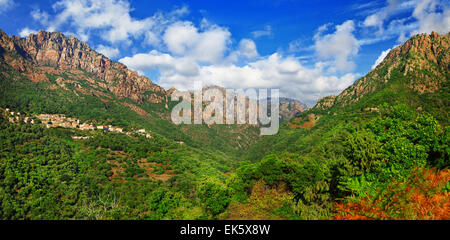 Natura incredibile in corsica,Francia. Foto Stock