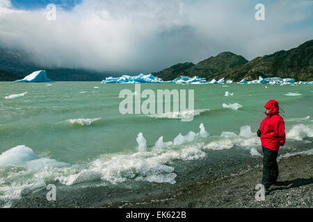 Per turisti in cerca di iceberg dal ghiacciaio Grey Grigio lago nella Patagonia meridionale del campo di ghiaccio a Torres del Paine National Foto Stock