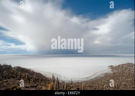 FILE - un file immagine del febbraio 2010 mostra una vista del Salar de Uyuni distesa di sale, la più grande riserva di litio, in Bolivia. Foto: Sergio Goya/dpa Foto Stock